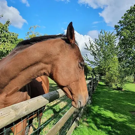 De La Mare Aux Chevres לינה וארוחת בוקר